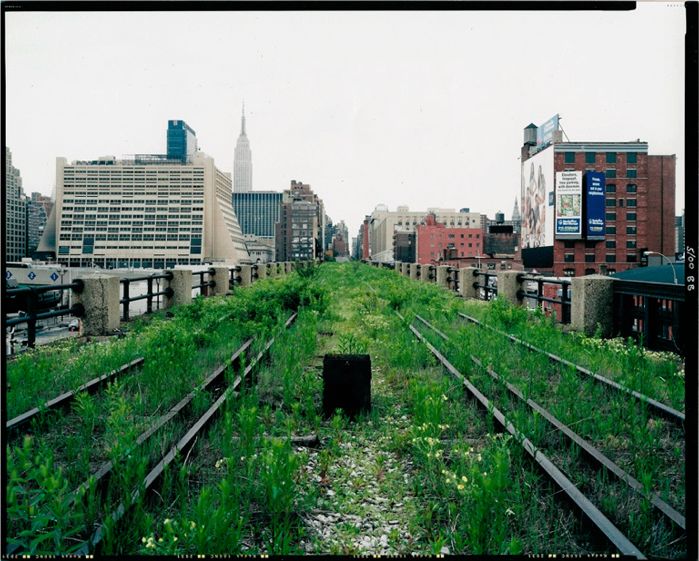 A Comparison of the 3 Phases of the High Line Part 3 - Plantings Discussion