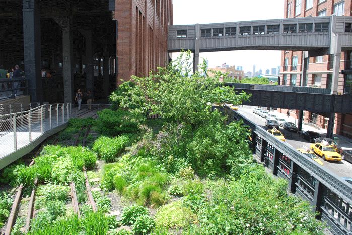 A Comparison of the 3 Phases of the High Line Part 12 - Studies/Research