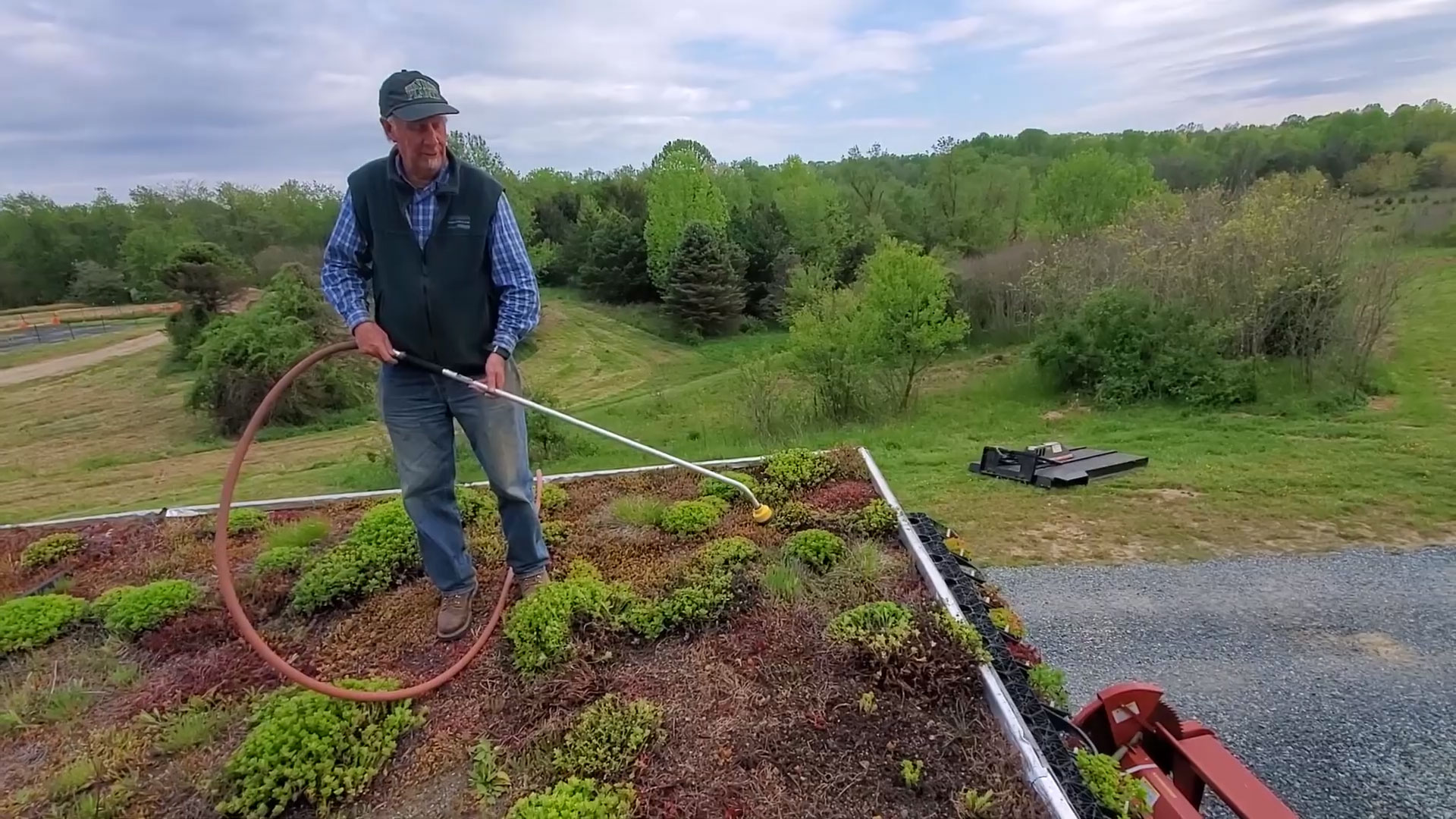 Green Roof Weed Control Using Saturated Steam