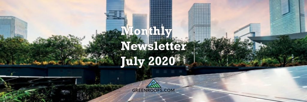 Our July 2020 Monthly Newsletter Is Out