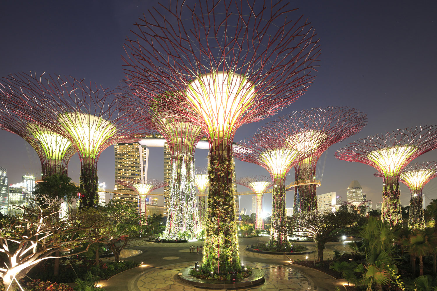 Gardens by the Bay, Supertrees Featured Image