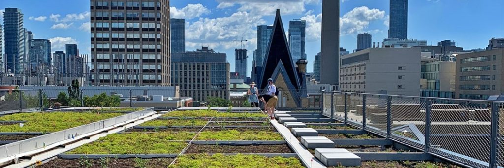 University of Toronto Training and Research Program to Focus on Green Roofs and Living Infrastructure
