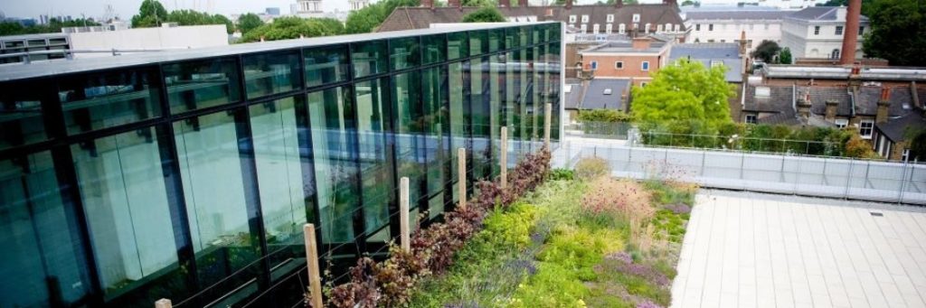 3 Things You Need to Consider When Retrofitting a Green Roof
