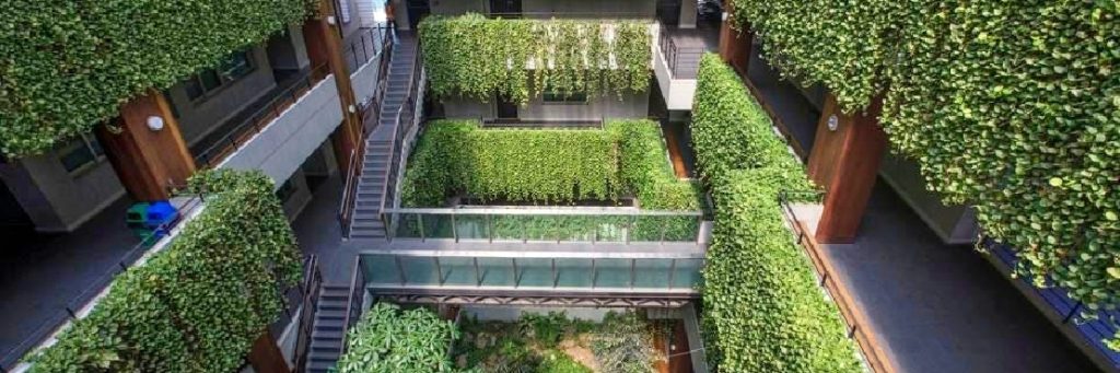 Living Walls Are the Key to Cooler Cities