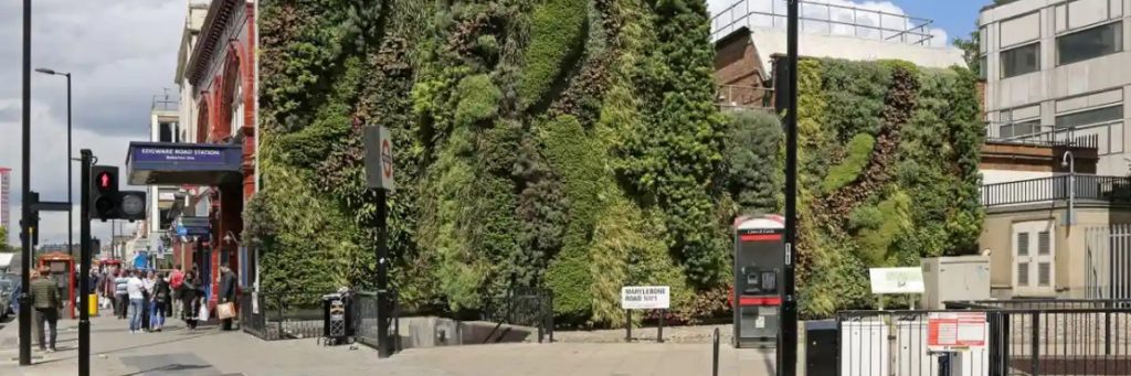 UK Developers Will Consider Contribution to Environment Using Urban Greening Factor Formula