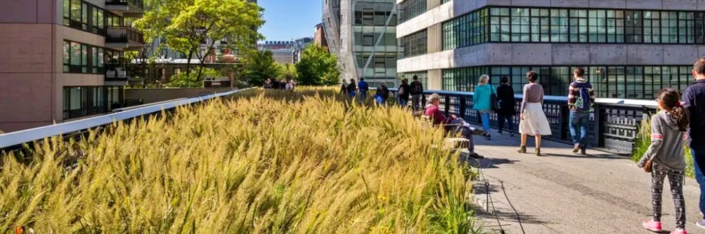 How Investing in Green Infrastructure Helps Cities Manage the Effects of the Climate Crisis and Creates Healthy Communities