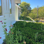 South College Ave Residential Green Roofs