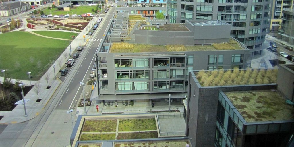 Valuing the Public Benefits of Green Roofs