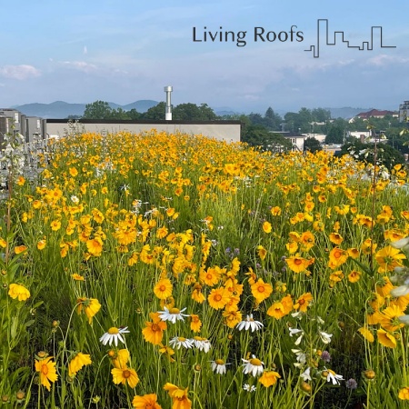 Living Roofs Inc. Green Roof Featured on Green Built Alliance