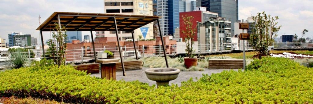 Latin America Green Roof Market Moves Towards Expansion