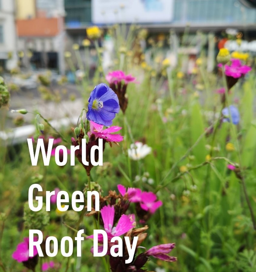 World Green Roof Day 2023