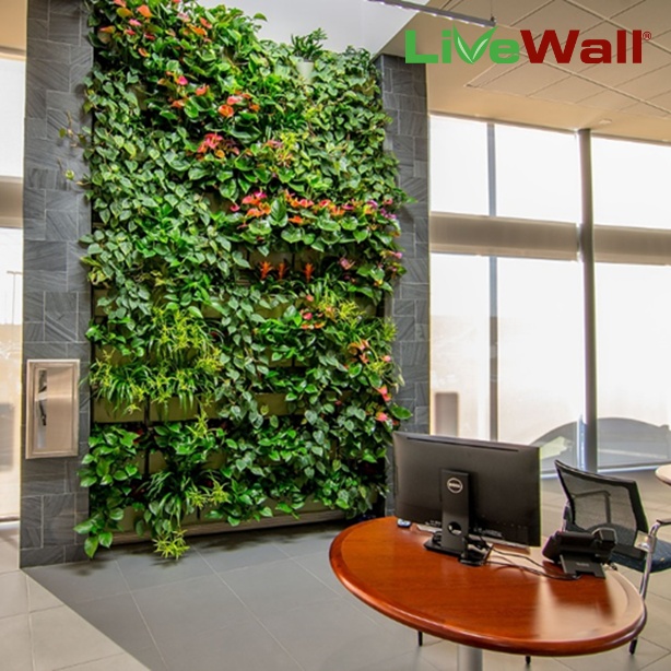 Car Dealerships and Living Walls: A Match Made in Heaven?
