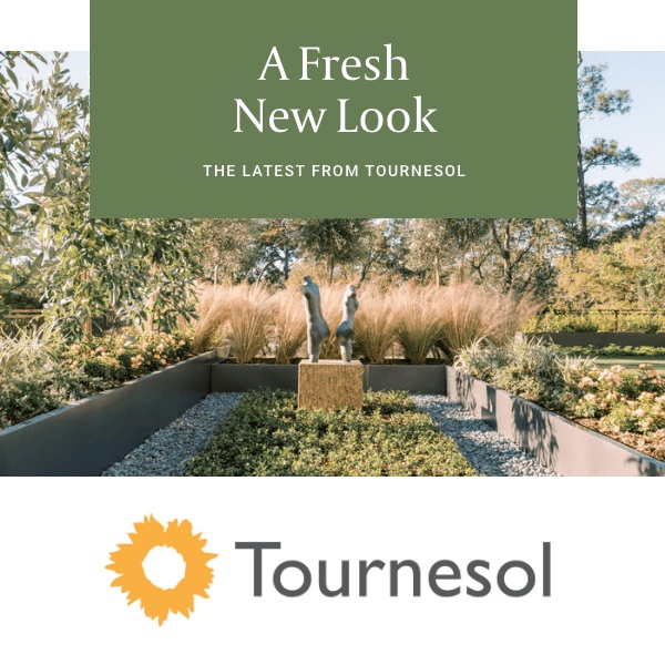 Tournesol Siteworks Launches a New Website!