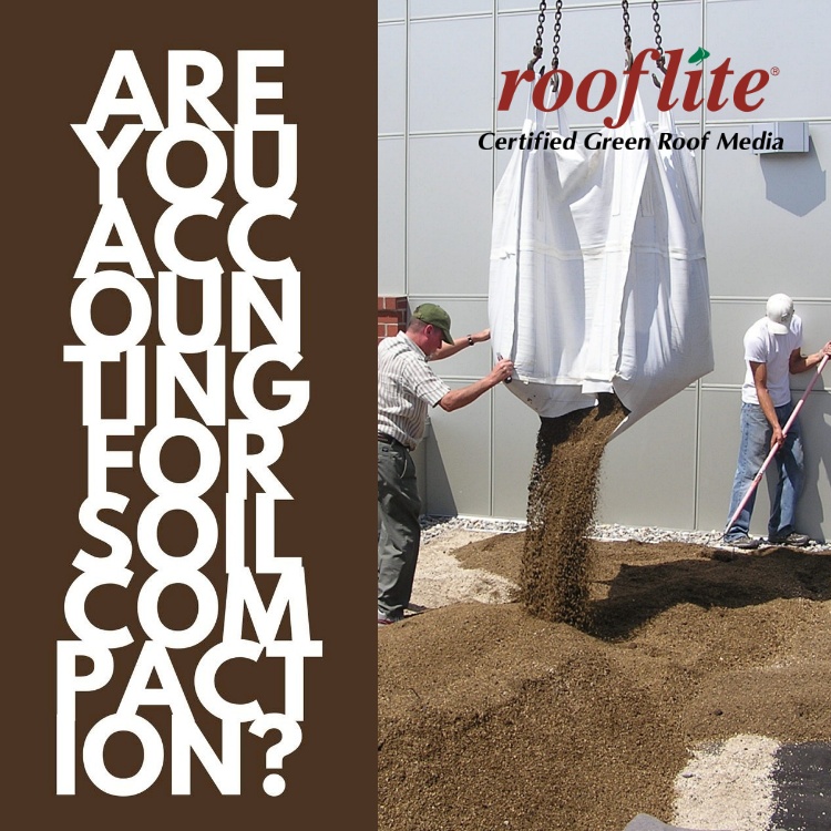 Planning for Soil Compaction on your Green Roof Project