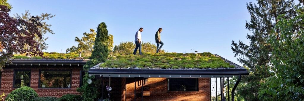 Why this Couple Went All-in On a Show-stopping ‘Green Roof’