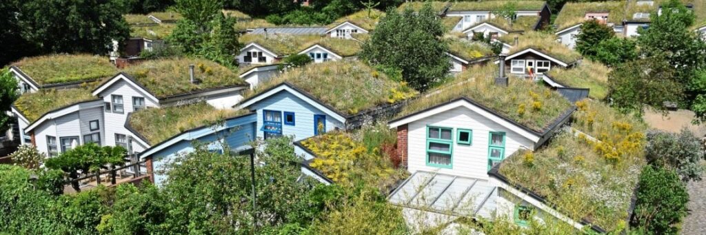 How Urban Green Roofs Are Gifts that Keep on Giving