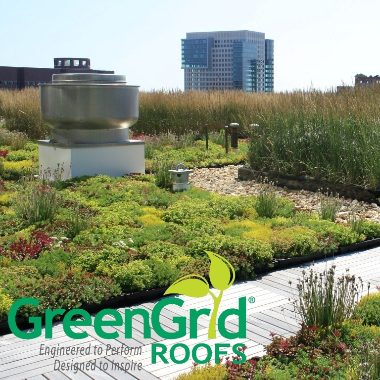 Green Roof Plant Selection Guidelines