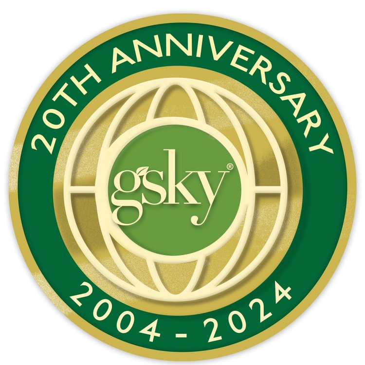 Celebrating 20 Years of Innovation and Growth with GSky!