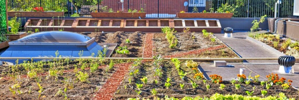 Green Roofs: A Circular Economy Innovation Hub