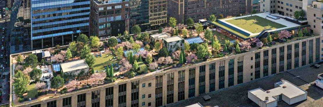 New Regulations and Incentives Make Green Roofs a Staple in Class A Development Playbook