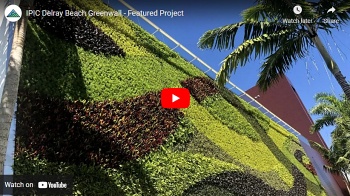 Featured Project: IPIC Delray Beach Greenwall