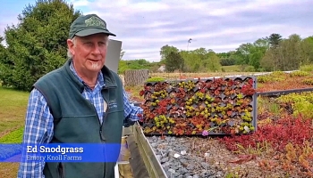 Watch Ed Snodgrass Weeding His Green Roof Using Saturated Steam