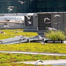 How an 8-acre Green Roof Atop the Javits Center is Boosting NYC’s Biodiversity