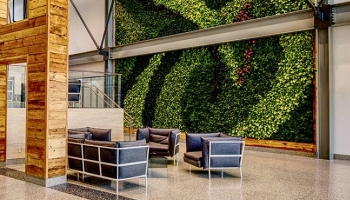 The Future of the Living Green Wall