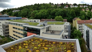 Why Green Roofs Are a Must-Have for Modern Cities