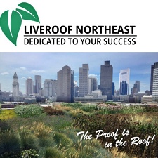 Pioneer Gardens Inc. Joins the LiveRoof Family as LiveRoof NorthEast!