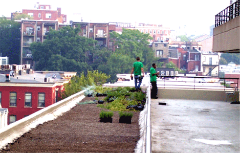 DC Greenworks' efforts at the Reeves Center