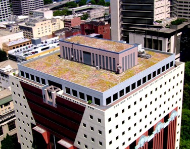 The Portland Building Ecoroof, 2007: Photo Courtesy BES