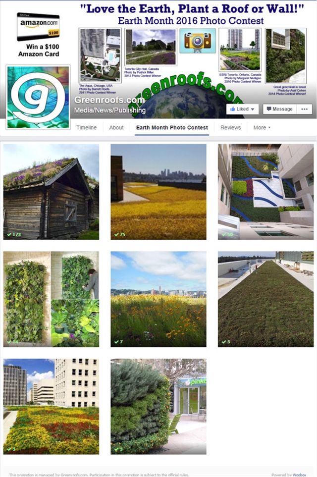 Love the Earth Plant a Roof or Wall Contest 2016