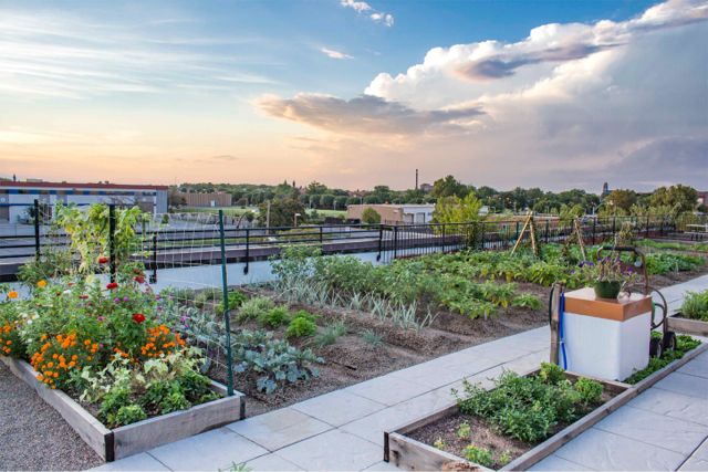 Project of the Week FOOD ROOF Farm