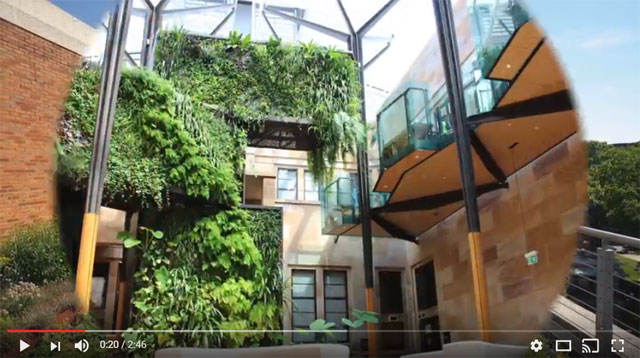 Greenroofs.com Projects of the Week 2016 in Review Video
