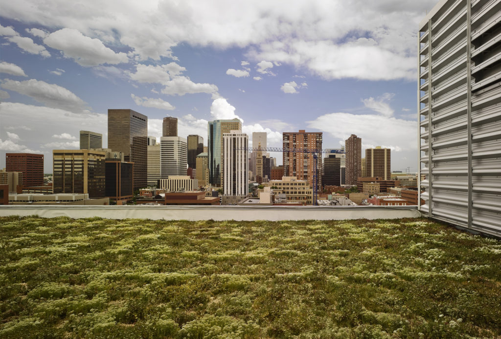 Denver Green Roof Initiative I-300 Fundraising Benefit Town Hall
