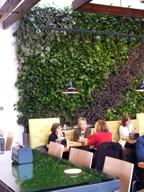 Green Walls Extend Green Welcome Brome Restaurants Guests Ponce Aquilina