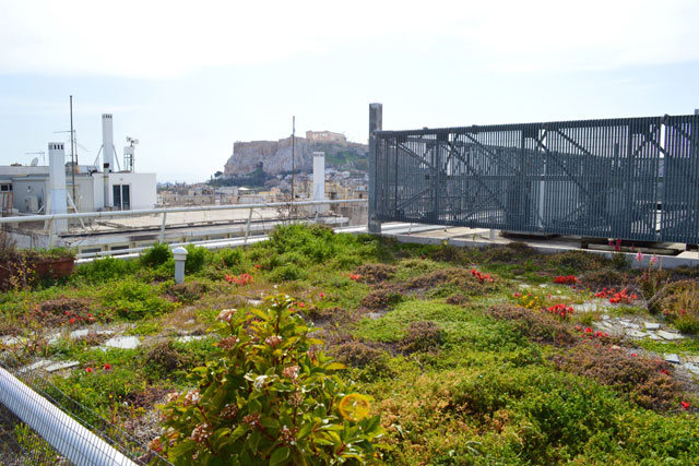 Greenroofs.com Project Week July 2017 Hellenic Treasury Constitution Square Greece