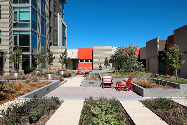 Greenroofs.com Project of the Week for October 23, 2017: 38 Dolores