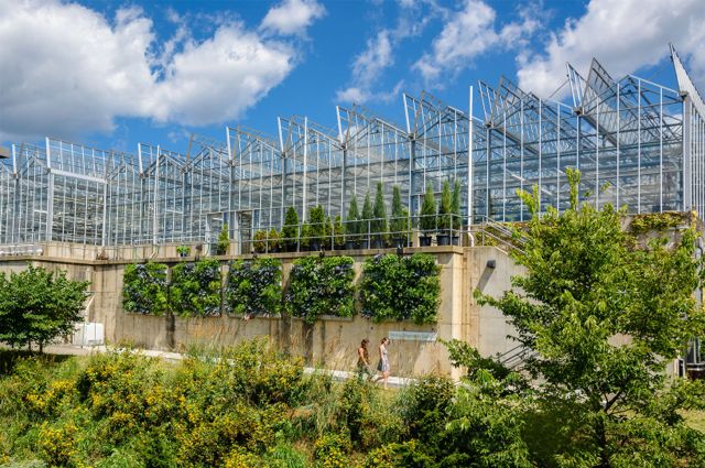Greenroofs.com Project of the Week for November 20, 2017: Phipps Conservatory Production Greenhouse Living Walls