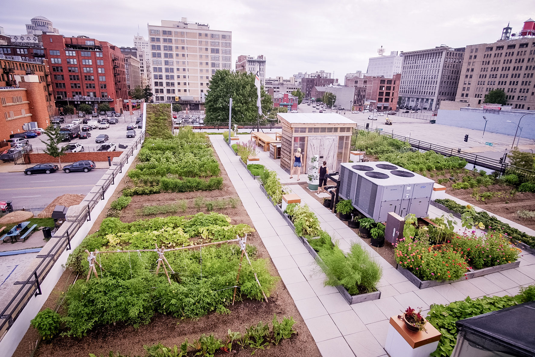 FOOD ROOF Farm Featured Image