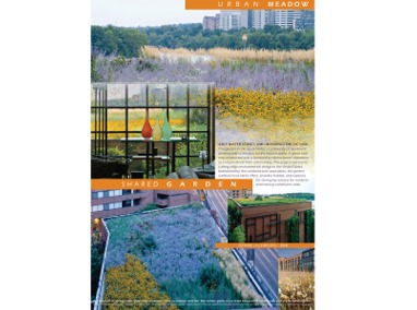3303 Water Street, NW, Green Roof Featured Image