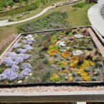 Greenroof Pavilion & Greenroof Trial Gardens of Rock Mill Park