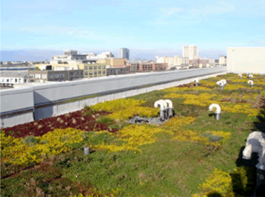 AgeSong ? Bayside Park Senior Assisted Living - Greenroofs.com