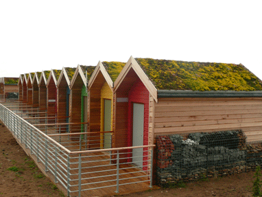 Blyth Beach Huts Featured Image