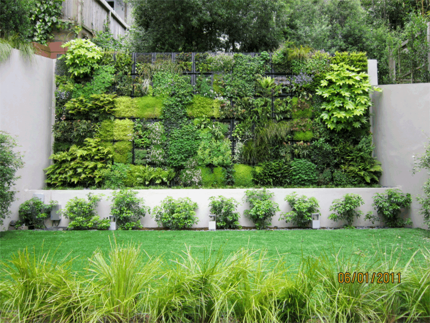 San Francisco Residential Living Wall, Ground Cover Landscaping San Francisco California