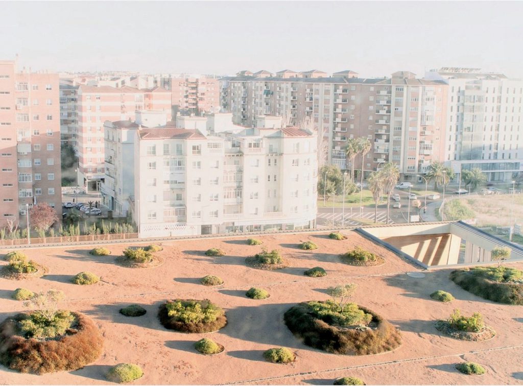 Caja Badajoz HQ Dehesa Landscape