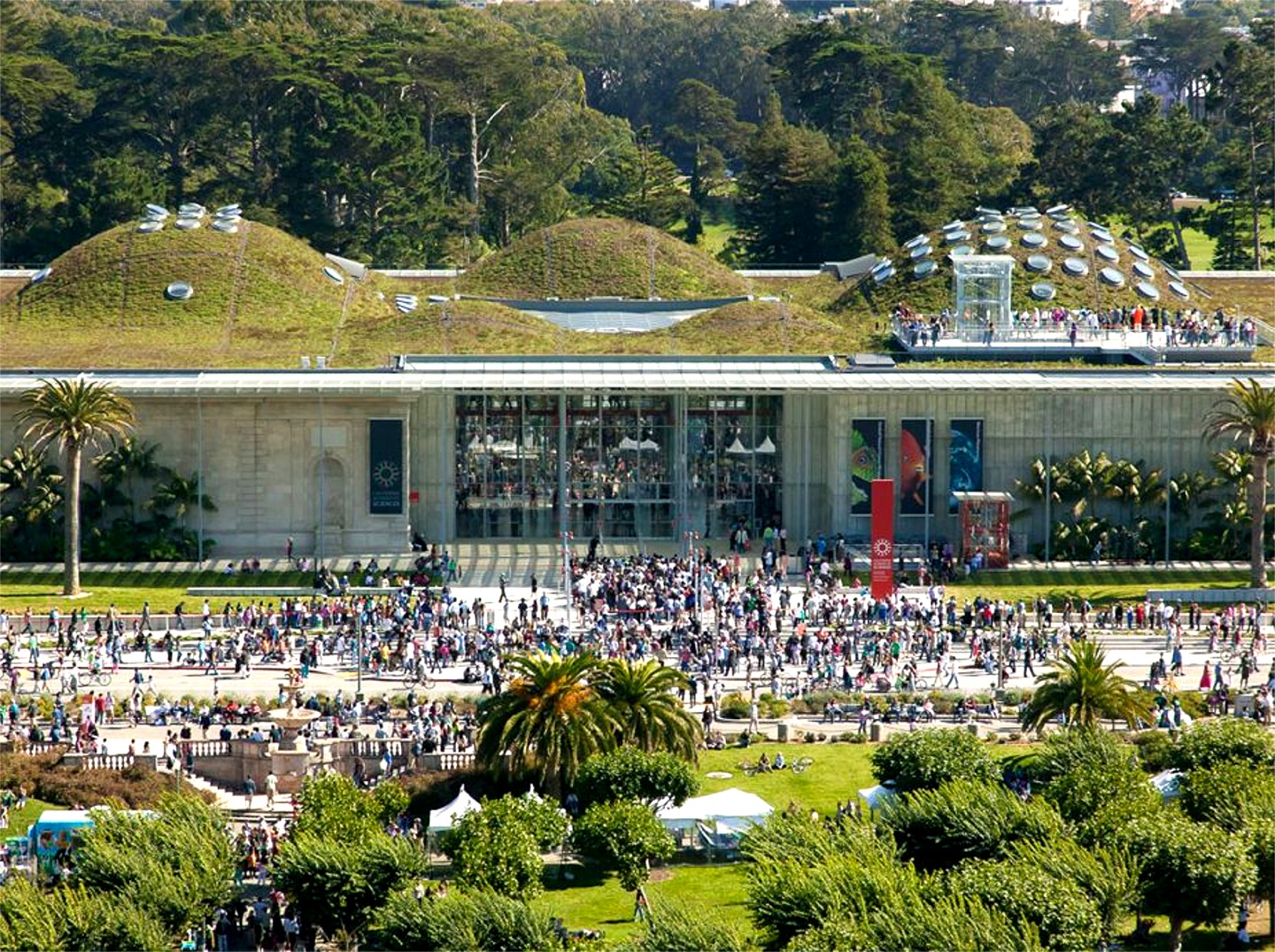 California Academy of Sciences (CAS) Living Roof Featured Image