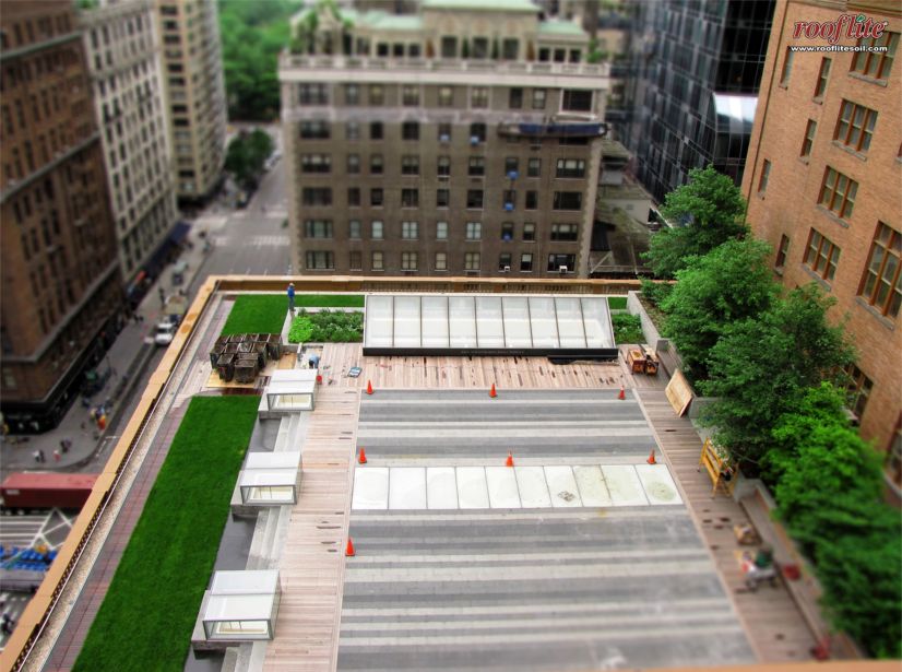 Carnegie Hall Weill Roof Terrace Greenroofs Com