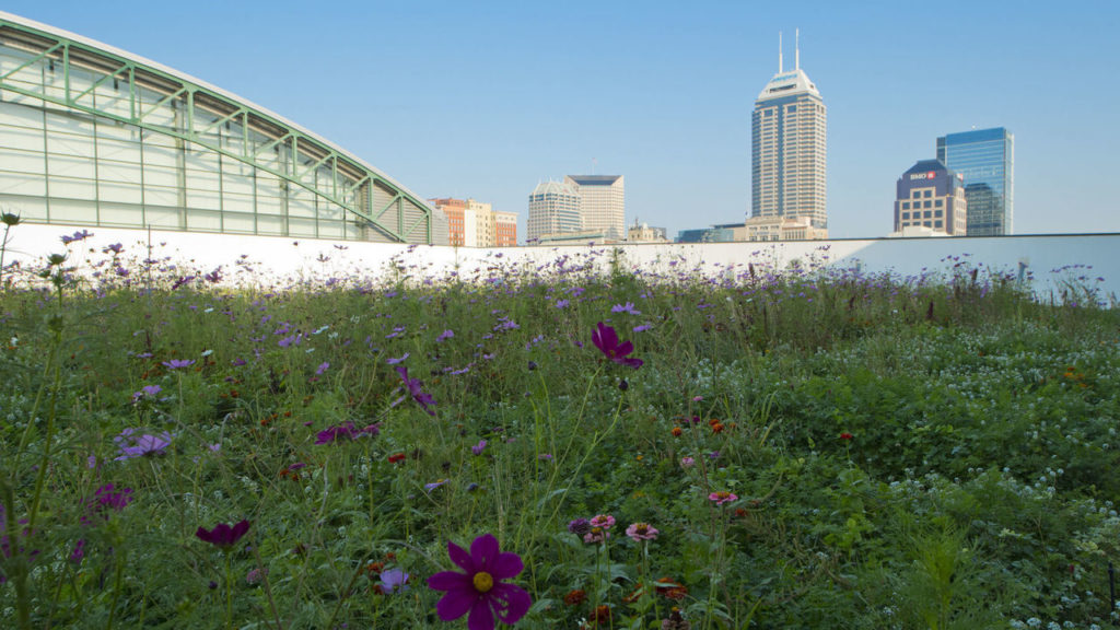 Indiana Pacers Install Green Roof Atop New Practice Facility